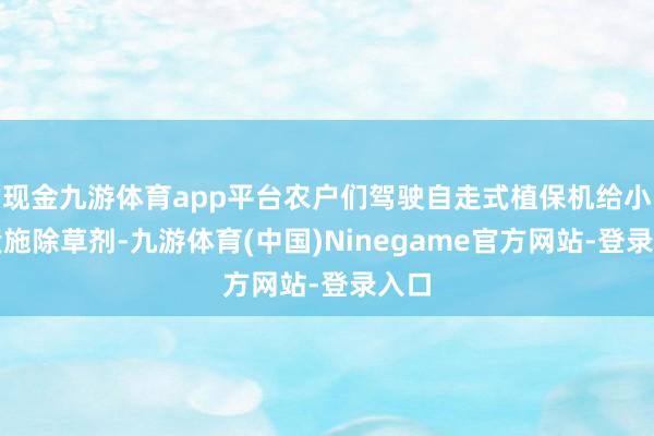 现金九游体育app平台农户们驾驶自走式植保机给小麦喷施除草剂-九游体育(中国)Ninegame官方网站-登录入口