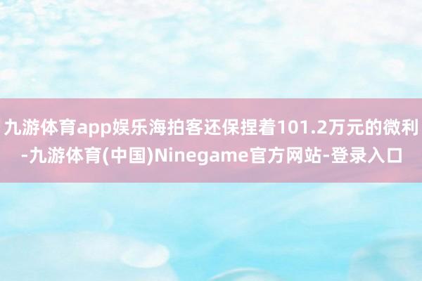 九游体育app娱乐海拍客还保捏着101.2万元的微利-九游体育(中国)Ninegame官方网站-登录入口