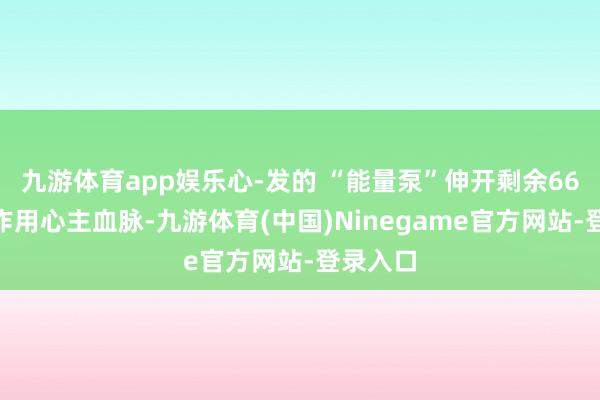 九游体育app娱乐心-发的 “能量泵”伸开剩余66%中枢作用心主血脉-九游体育(中国)Ninegame官方网站-登录入口