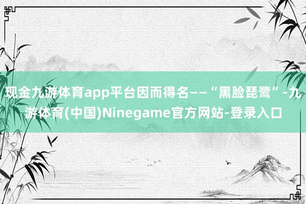 现金九游体育app平台因而得名——“黑脸琵鹭”-九游体育(中国)Ninegame官方网站-登录入口