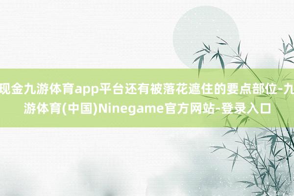 现金九游体育app平台还有被落花遮住的要点部位-九游体育(中国)Ninegame官方网站-登录入口