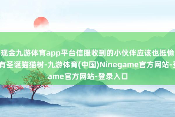 现金九游体育app平台信服收到的小伙伴应该也挺愉快——还有圣诞猫猫树-九游体育(中国)Ninegame官方网站-登录入口
