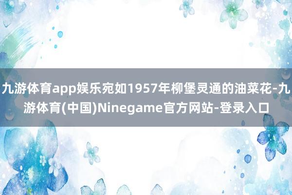 九游体育app娱乐宛如1957年柳堡灵通的油菜花-九游体育(中国)Ninegame官方网站-登录入口
