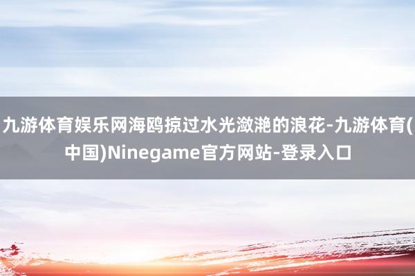 九游体育娱乐网海鸥掠过水光潋滟的浪花-九游体育(中国)Ninegame官方网站-登录入口